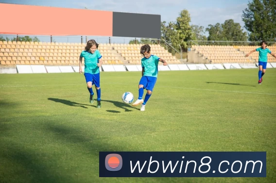 App Interface Preview