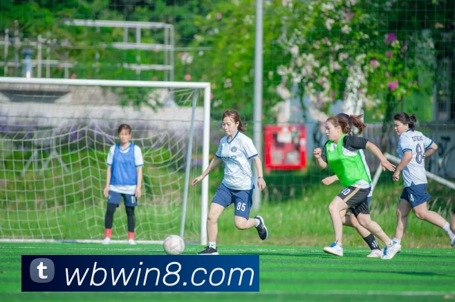 威博娱乐城官网APP 封面图